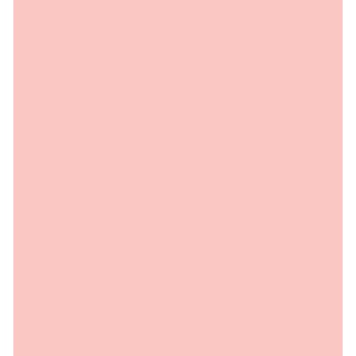 (RB-6000AT/069)Zig Real Brush Blush