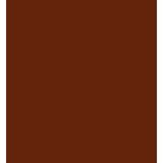 (RB-6000AT/060)Zig Real Brush Brown