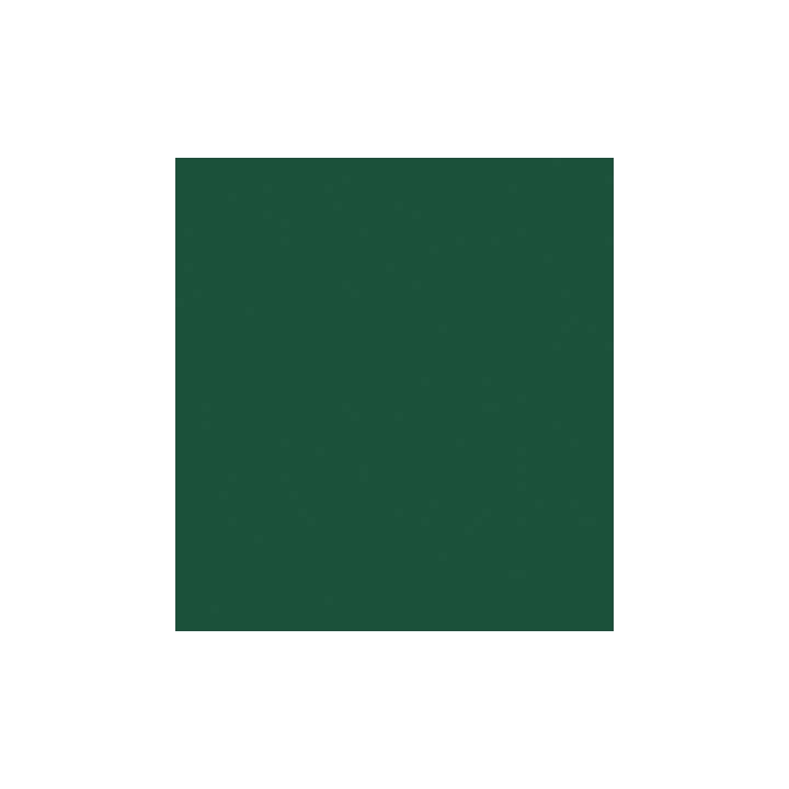 (RB-6000AT/048)Zig Real Brush Emerald Green