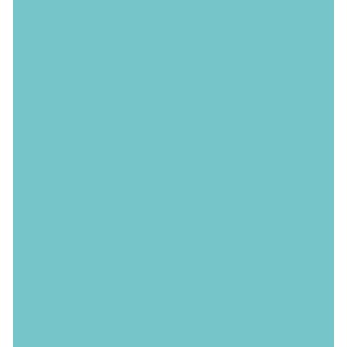 (RB-6000AT/036)Zig Real Brush Light Blue