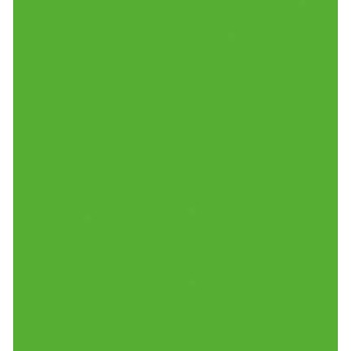 (RB-6000AT/004)Zig Real Brush Fl. Green