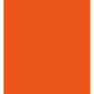 (RB-6000AT/002)Zig Real Brush Fl. Orange
