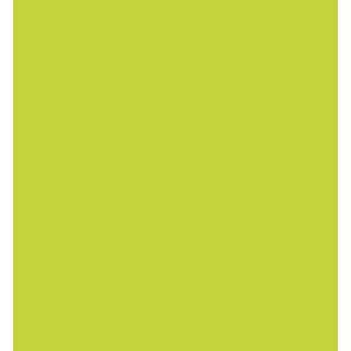 (RB-6000AT/001)Zig Real Brush Fl. Yellow