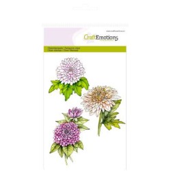 (1071)CraftEmotions clearstamps A6 Chrysanthemums branch Botanic