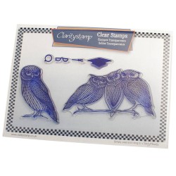 (STA-BI-10239-A5)Claritystamp clear stamp Wise Owls