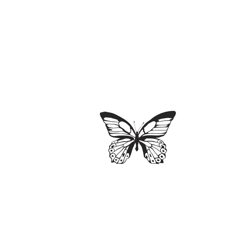 (CS258)Kaiser craft clear stamp background majestic butterfly