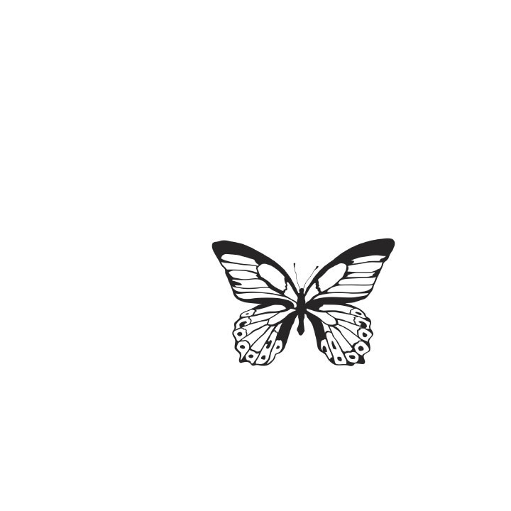 (CS258)Kaiser craft clear stamp background majestic butterfly