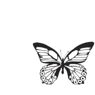 (CS258)Kaiser craft clear stamp background majestic butterfly