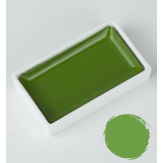 (MC21/ 52)ZIG Gansai Tambi Ocean Green