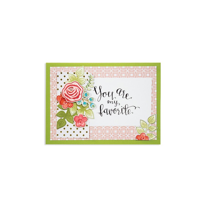 (SDS-012)Spellbinders Stamp/Die Set - Floral Divine
