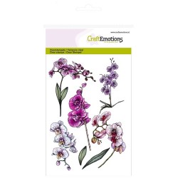 (1243)CraftEmotions clearstamps A6 - branches d`orchidées
