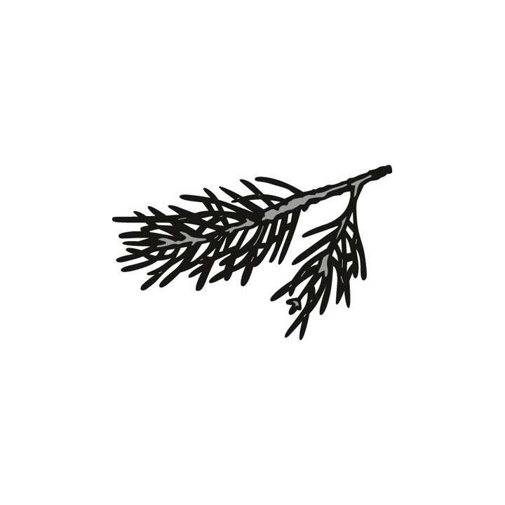 (CR1378)Craftables stencil Tiny's Pine tree branch