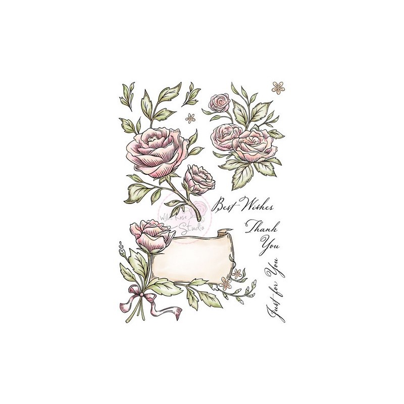 (AS004)Wild Rose Studio`s A5 stamp set Antique Roses