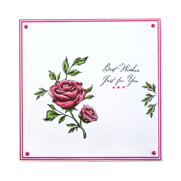 (AS004)Wild Rose Studio`s A5 stamp set Antique Roses