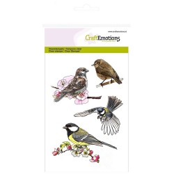(1250)CraftEmotions clearstamps A6 - birds Spring Time