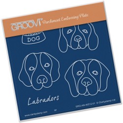 (GRO-AN-40512-01)Groovi® Kennel Club - Labradors Baby plate A6
