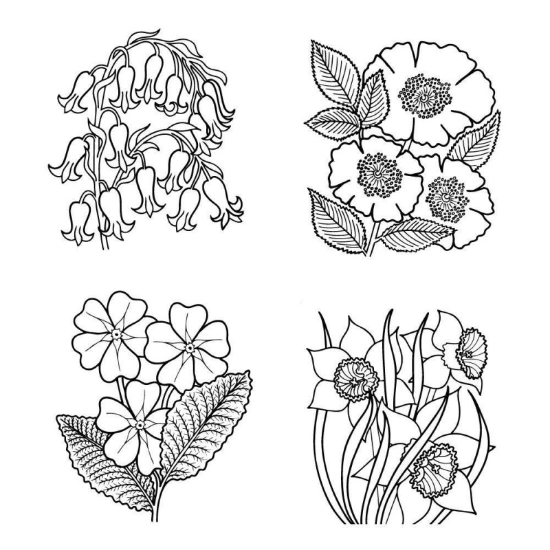(STA-FL-10338-A6)Claritystamp clear stamp Flower Boxes