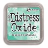 (TDO55891)Ranger Distress Oxide - cracked pistachio