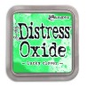 (TDO56041)Ranger Distress Oxide - lucky clover