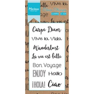 (CS0994)Clear stamp Carpe Diem