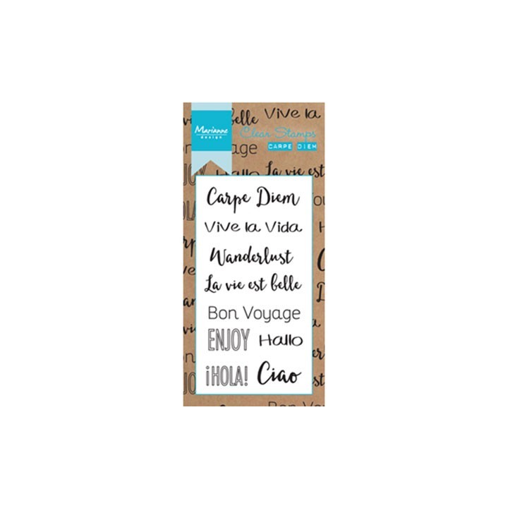 (CS0994)Clear stamp Carpe Diem