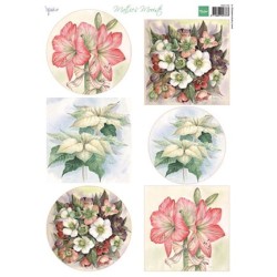 (MB0168)3D Mattie's Mooiste Christmas flowers
