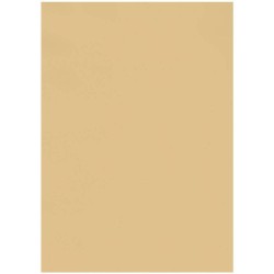 (GRO-AC-40399-A4)Groovi Parchment Paper A4 Soft Tones Ivory 10 sheets