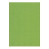 (GRO-AC-40360-A5)Groovi Parchment Paper A5 Christmas Green 20 sheets