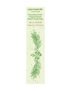(35.3783)Border embossing folder Pine branch