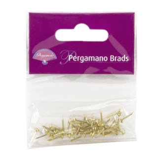 (PER-AC-70274-XX)PERGAMANO BRADS GOLD