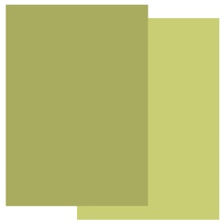 (GRO-AC-40773-A4)Groovi Parchment Paper A4 TWO TONES PEAR GREEN & APPLE GREEN