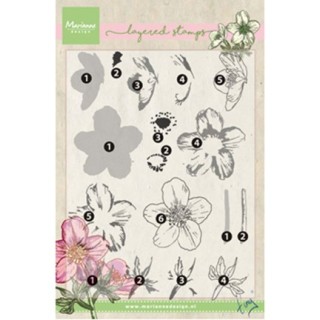 (TC0861)Clear stamp Tiny's helleborus (layering)