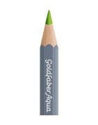 (114670)Faber Castell Goldfaber aqua 170 May Green