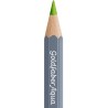 (114670)Faber Castell Goldfaber aqua 170 May Green