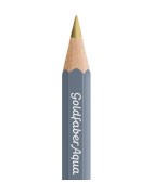 (114690)Faber Castell Goldfaber aqua 250 Gold