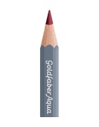 (114692)Faber Castell Goldfaber aqua 192 Indian Red