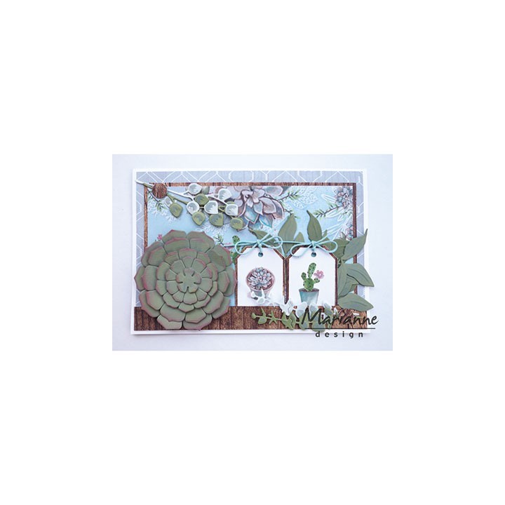 (CR1430)Craftables stencil Succulent (round)