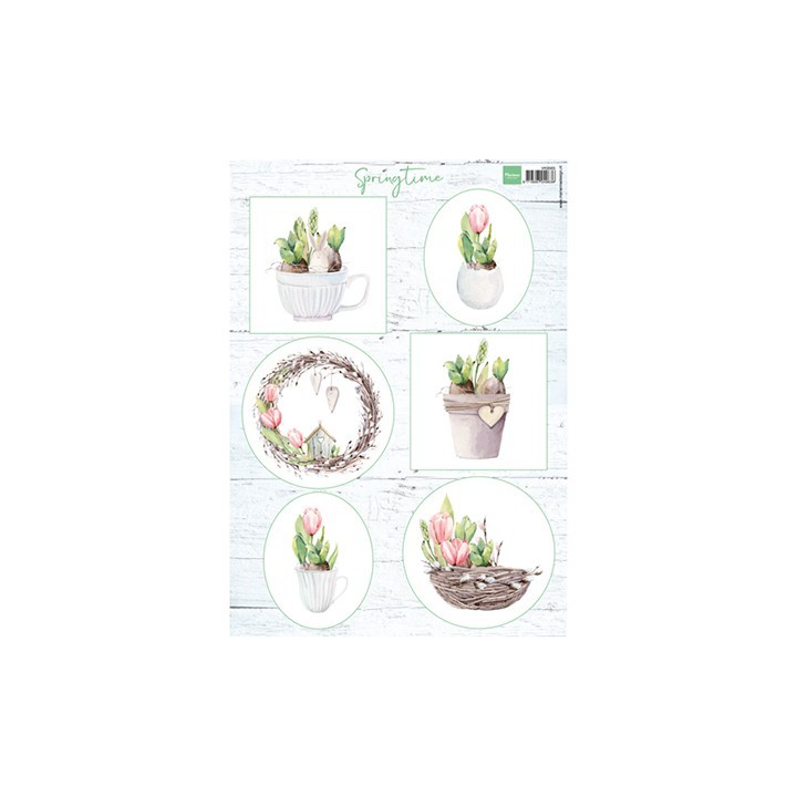(VK9565)3D Tulips & willow cats