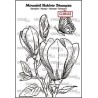 (CLRS02)Crealies Mounted Rubber Stampzz no. 2 Magnolia