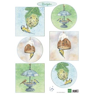 (IT604)3D Tiny's birds feeding