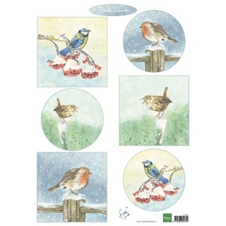 (IT605)3D Tiny's birds in winter