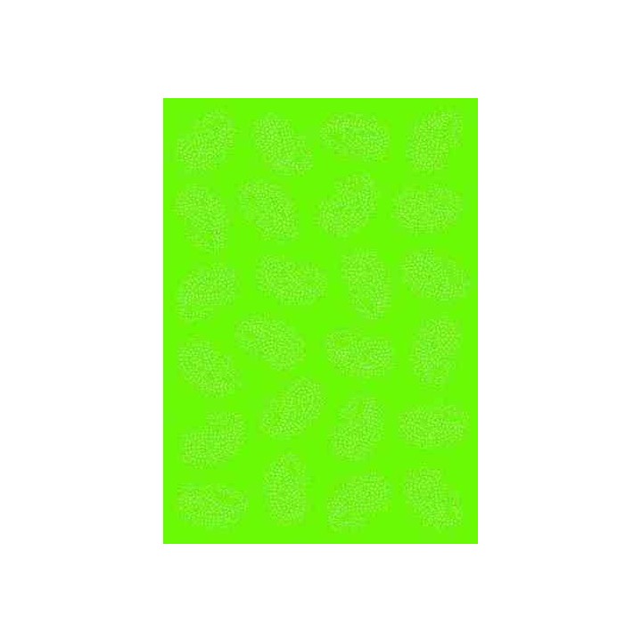 Pergamano vellum paisley lime