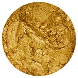 (802N)Tonic Studios  Embellishment Mousse Nuvo indian gold