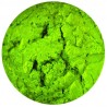 (823N)Tonic Studios  Embellishment Mousse Nuvo citrus green