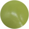 (1305N)Tonic Studios Nuvo vintage drops pioneer green