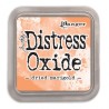 (TDO55914)Tim Holtz distress oxide dried marigold