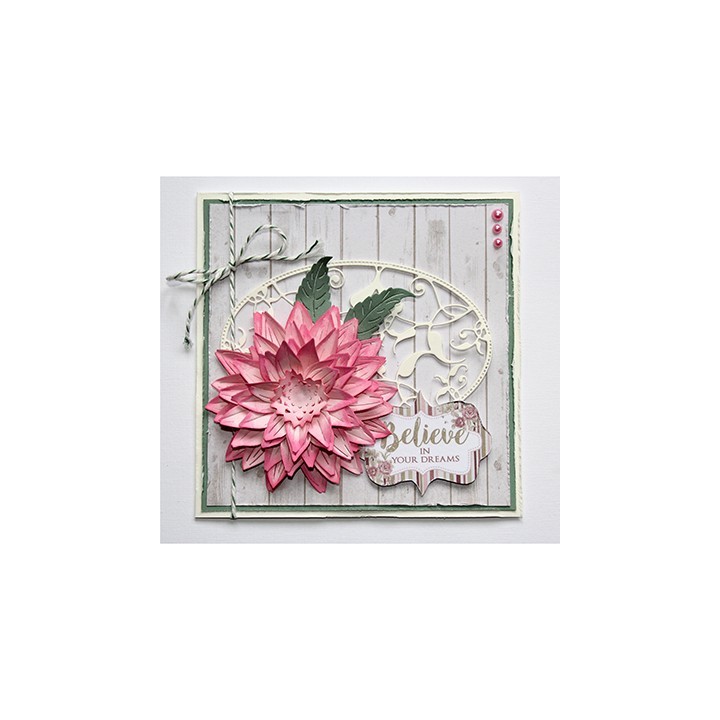 (6002/1235)Cutting Dahlia