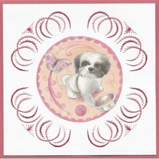 (STDO100)Stitch and Do 100 Playful Pets