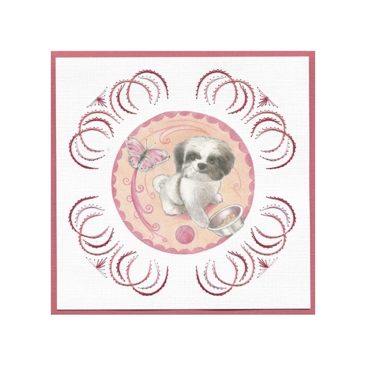 (STDO100)Stitch and Do 100 Playful Pets