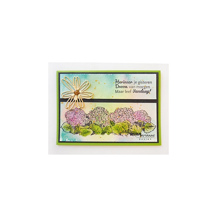(TC0871)Clear stamp Tiny's Border – Hydrangea